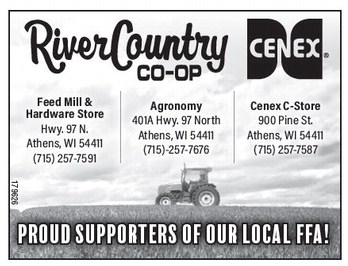 starnews_20260219_tsn-2026-02-19-c-005_art_4.xml