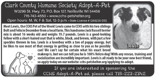 recordgleaner_20260204_trg-2026-02-04-0-004_w-ocr_art_7.xml