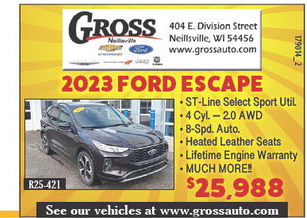 recordgleaner_20260204_trg-2026-02-04-0-001_w-opt_art_3.xml