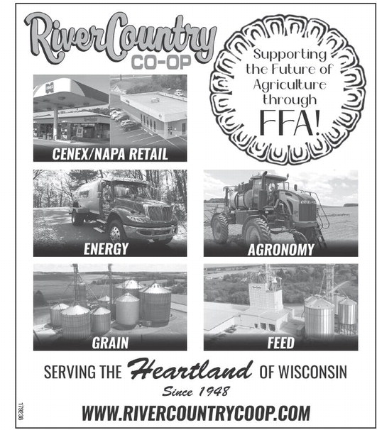 starnews_20260219_tsn-2026-02-19-c-015_art_4.xml