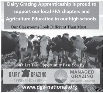 starnews_20260219_tsn-2026-02-19-c-011_art_4.xml