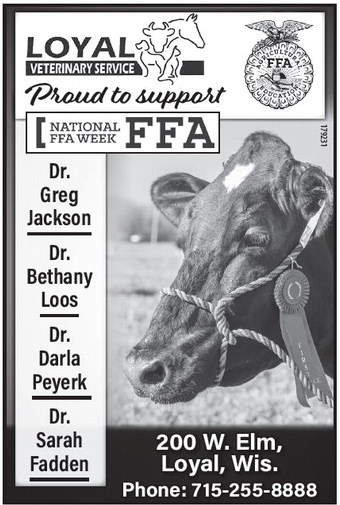 recordgleaner_20260218_trg-2026-02-18-b-009_art_3.xml