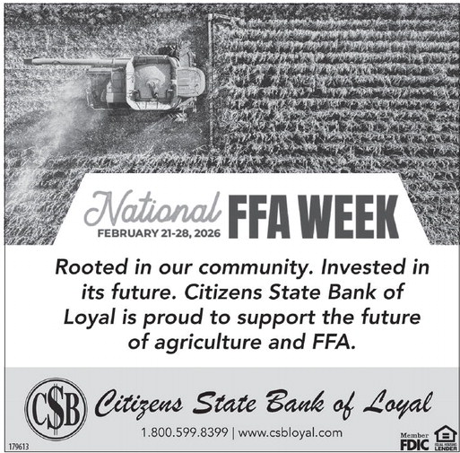 recordreview_20260218_trr-2026-02-18-b-005_art_4.xml