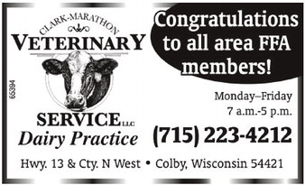 starnews_20260219_tsn-2026-02-19-c-010_art_4.xml