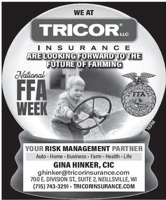 recordgleaner_20260218_trg-2026-02-18-b-009_art_4.xml