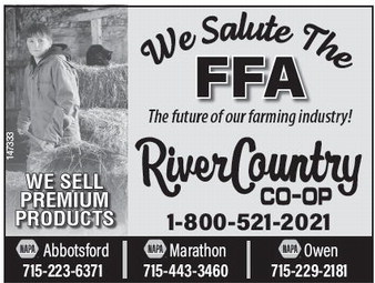 starnews_20260219_tsn-2026-02-19-c-005_art_3.xml