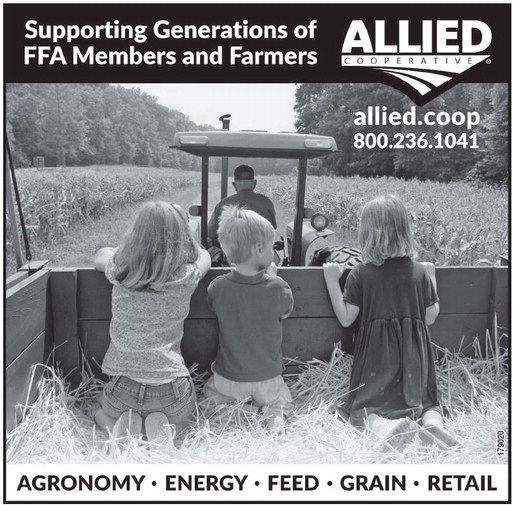 recordreview_20260218_trr-2026-02-18-b-005_art_3.xml