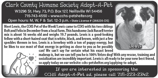 recordgleaner_20260204_trg-2026-02-04-0-004_art_6.xml