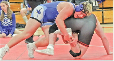 Bluejays battle the Cards, T-Wolves