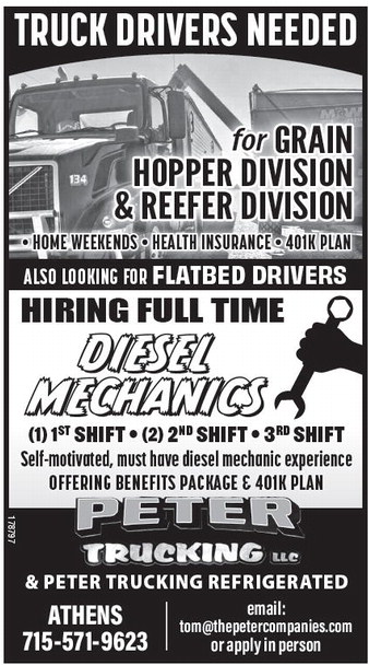 starnews_20260219_tsn-2026-02-19-b-018_art_4.xml