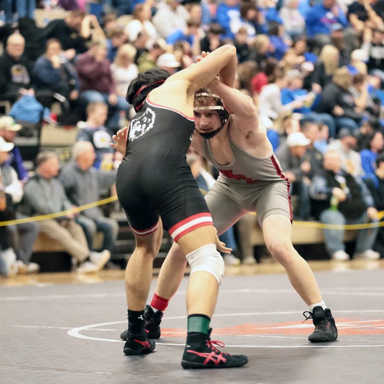 2 male wrestlers from NGL, 1 from SCG advance to state