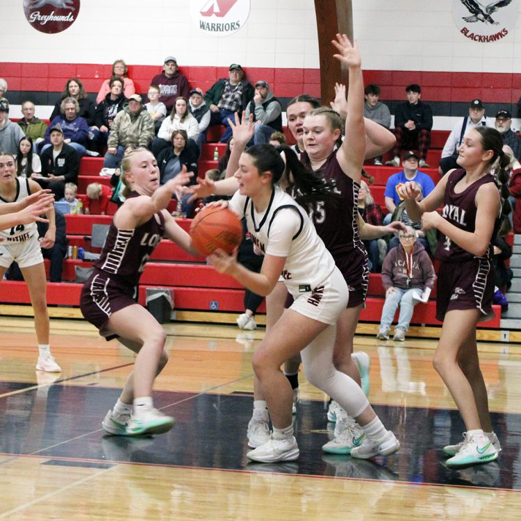 Greyhounds suffer close loss to Blackhawks