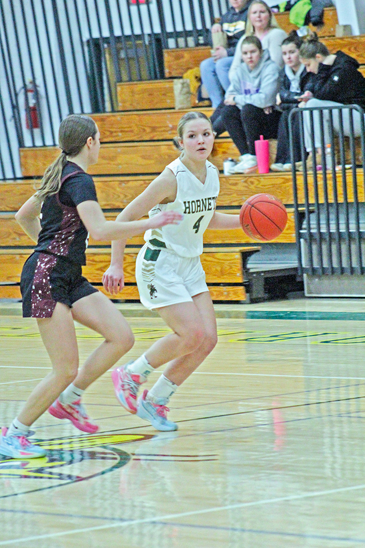 Hornets downed on the road by Neillsville, Spencer