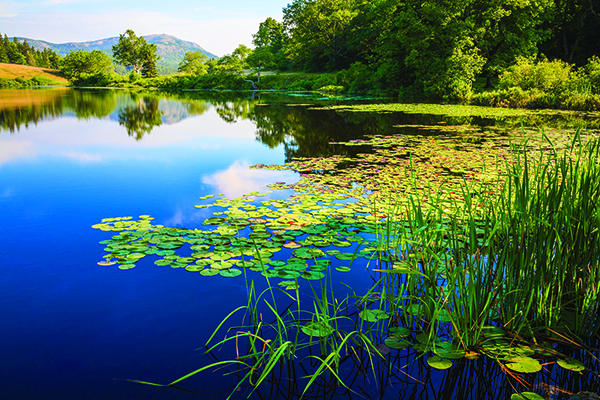 Lasting benefits provided through conservation program