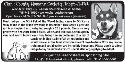 recordgleaner_20260225_trg-2026-02-25-0-022_art_5.xml