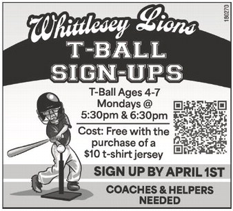 starnews_20260219_tsn-2026-02-19-b-014_art_1.xml