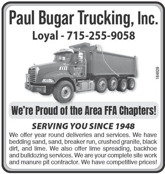 recordreview_20260218_trr-2026-02-18-b-010_art_8.xml