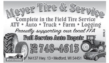 starnews_20260219_tsn-2026-02-19-c-003_art_2.xml