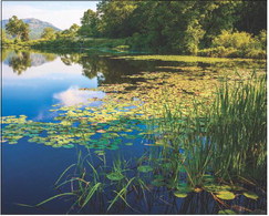 Looking ahead to plan enough power in the future