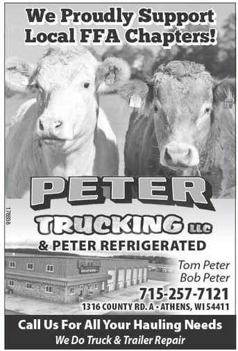 starnews_20260219_tsn-2026-02-19-c-006_art_6.xml