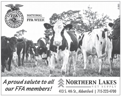 starnews_20260219_tsn-2026-02-19-c-015_art_5.xml