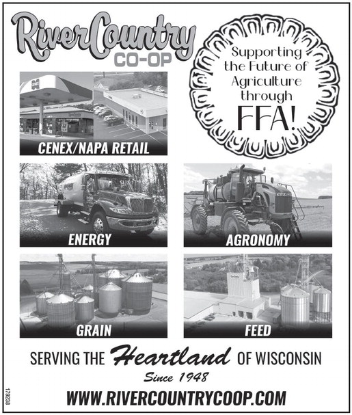 recordreview_20260218_trr-2026-02-18-b-002_art_2.xml