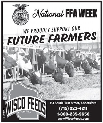 starnews_20260219_tsn-2026-02-19-c-014_art_6.xml