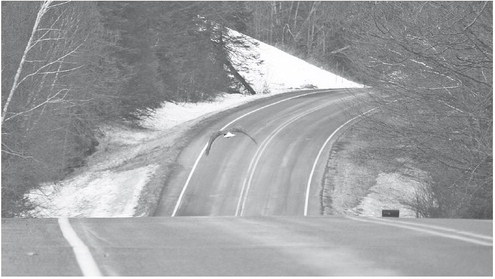 Three Marshfield Clinic hospitals named to Forbes list