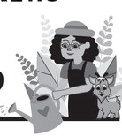 Marigold-en Opportunity