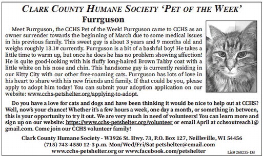 tribunephonograph_20260325_ttp-2026-03-25-0-011_art_6.xml