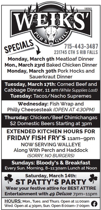 recordreview_20260304_trr-2026-03-04-0-002_art_4.xml