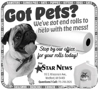 starnews_20260312_tsn-2026-03-12-a-016_art_1.xml