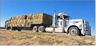 Even in devastation, there’s still good to be found