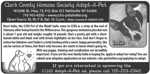 recordgleaner_20260318_trg-2026-03-18-0-004_art_3.xml