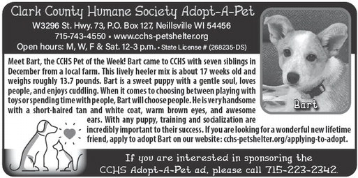 recordgleaner_20260311_trg-2026-03-11-0-003_art_2.xml