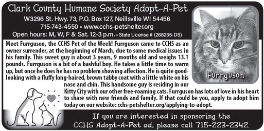 recordgleaner_20260325_trg-2026-03-25-0-013_art_3.xml