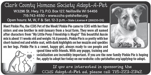 recordgleaner_20260304_trg-2026-03-04-0-004_art_6.xml