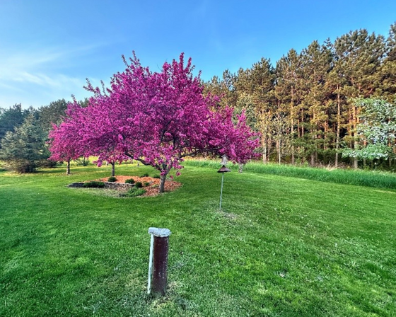 Protect our groundwater in various ways all year long