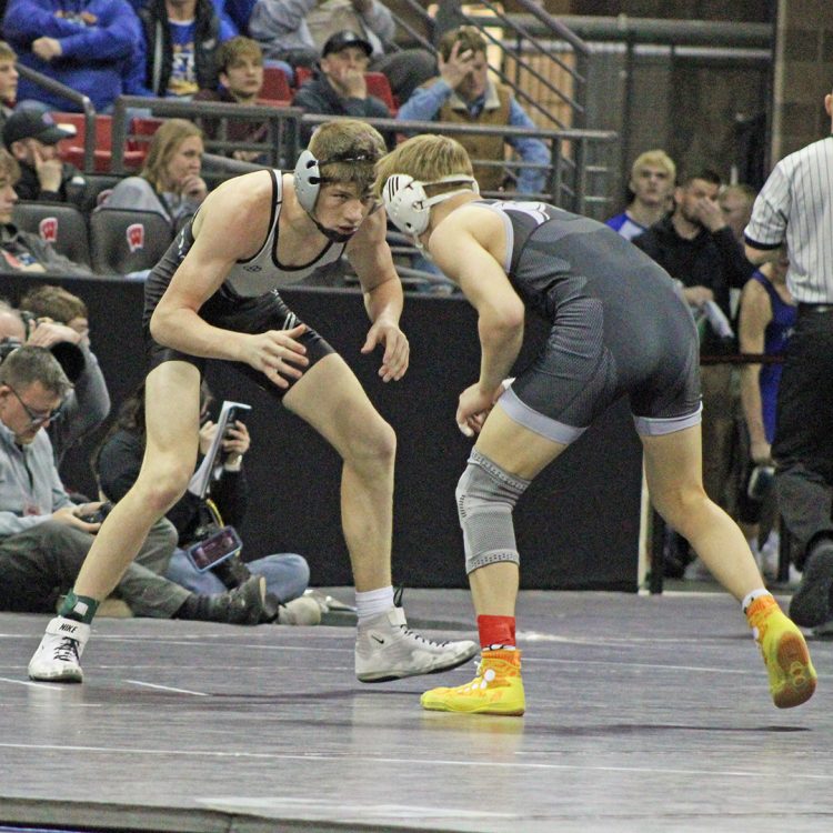 Local wrestlers find some success, future motivation at state