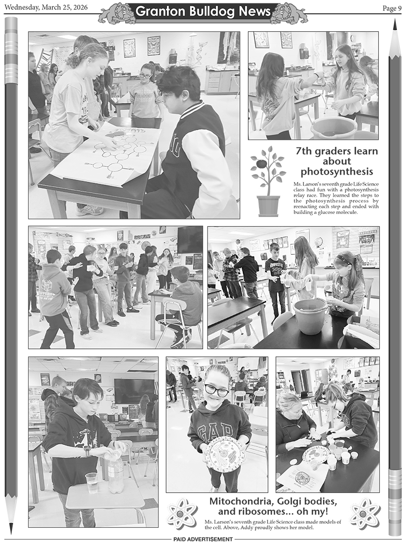 recordgleaner_20260325_trg-2026-03-25-0-008_art_3.xml