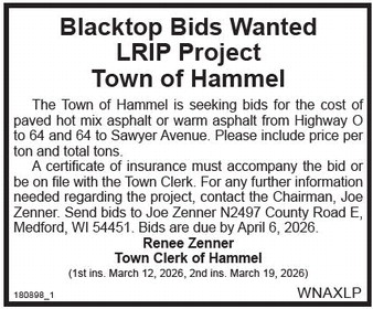 starnews_20260312_tsn-2026-03-12-a-015_art_4.xml