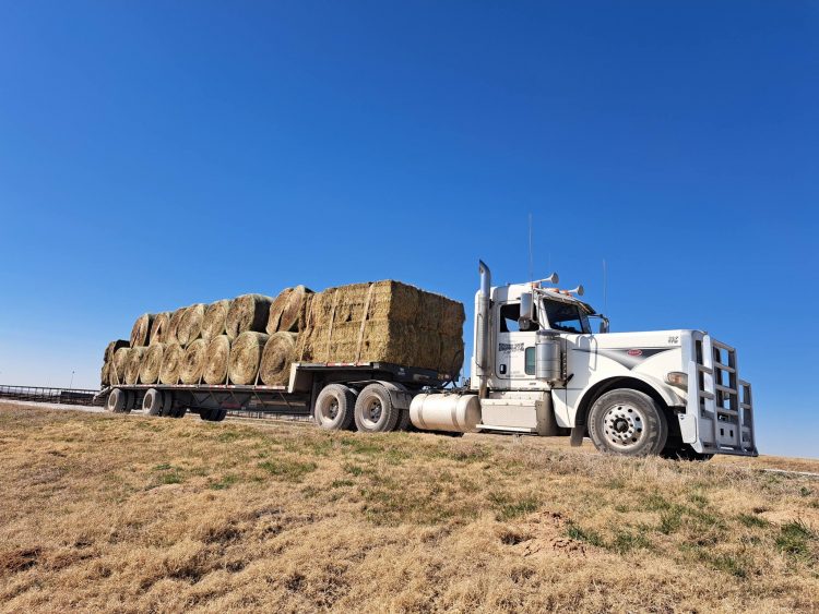 Even in devastation, there’s still good to be found