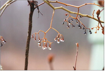 A coffee shop is just what is needed in the mornings
