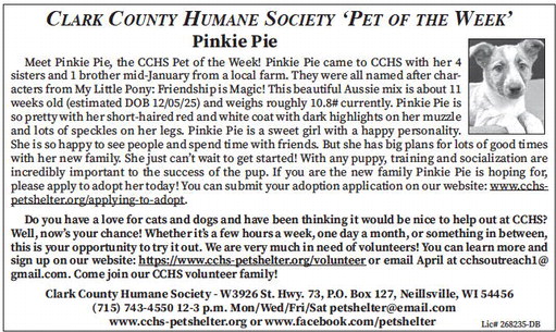 tribunephonograph_20260304_ttp-2026-03-04-0-016_art_7.xml