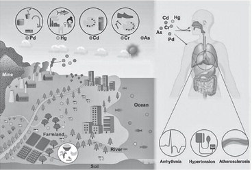 When you hear the term heavy metals