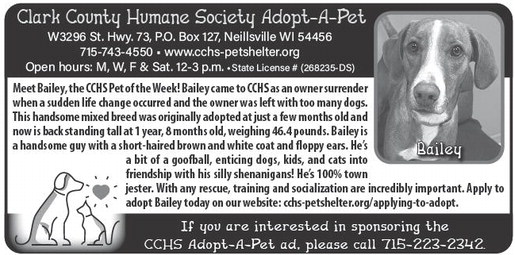 recordgleaner_20260401_trg-2026-04-01-0-014_art_2.xml