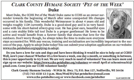 tribunephonograph_20260408_ttp-2026-04-08-0-011_art_5.xml