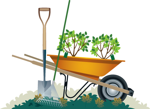 Springtime clean-up shouldn’t include spinal injuries