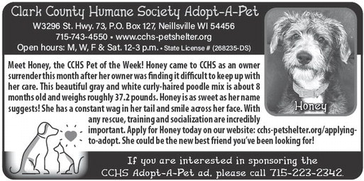 recordgleaner_20260429_trg-2026-04-29-0-005_art_7.xml