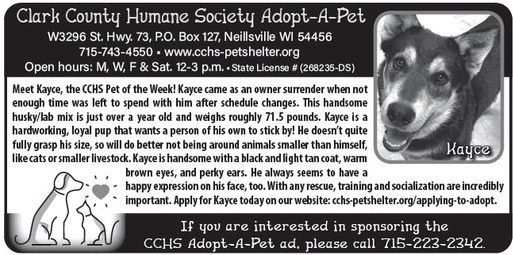 recordgleaner_20260415_trg-2026-04-15-0-009_art_2.xml